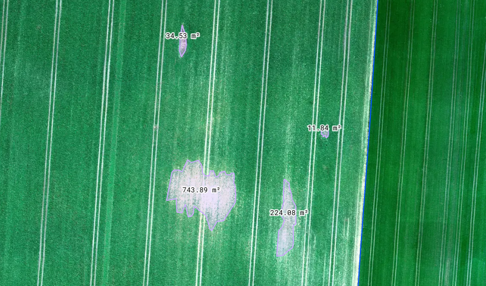Dron wykonujący nalot fotogrametryczny nad uprawami rolnymi do szacowania szkód